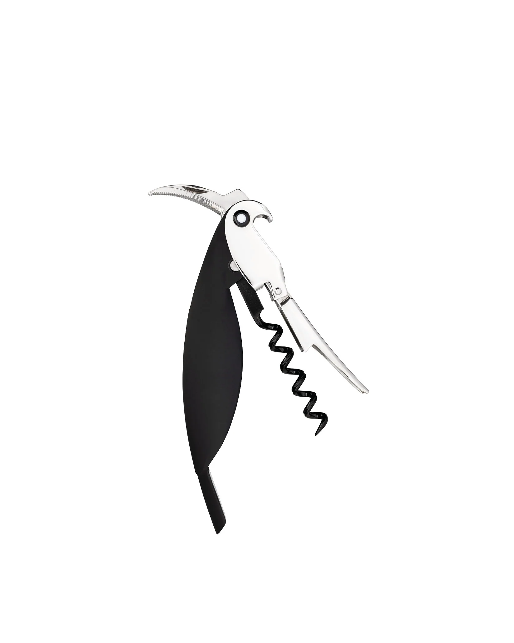 Parrot - Image 3