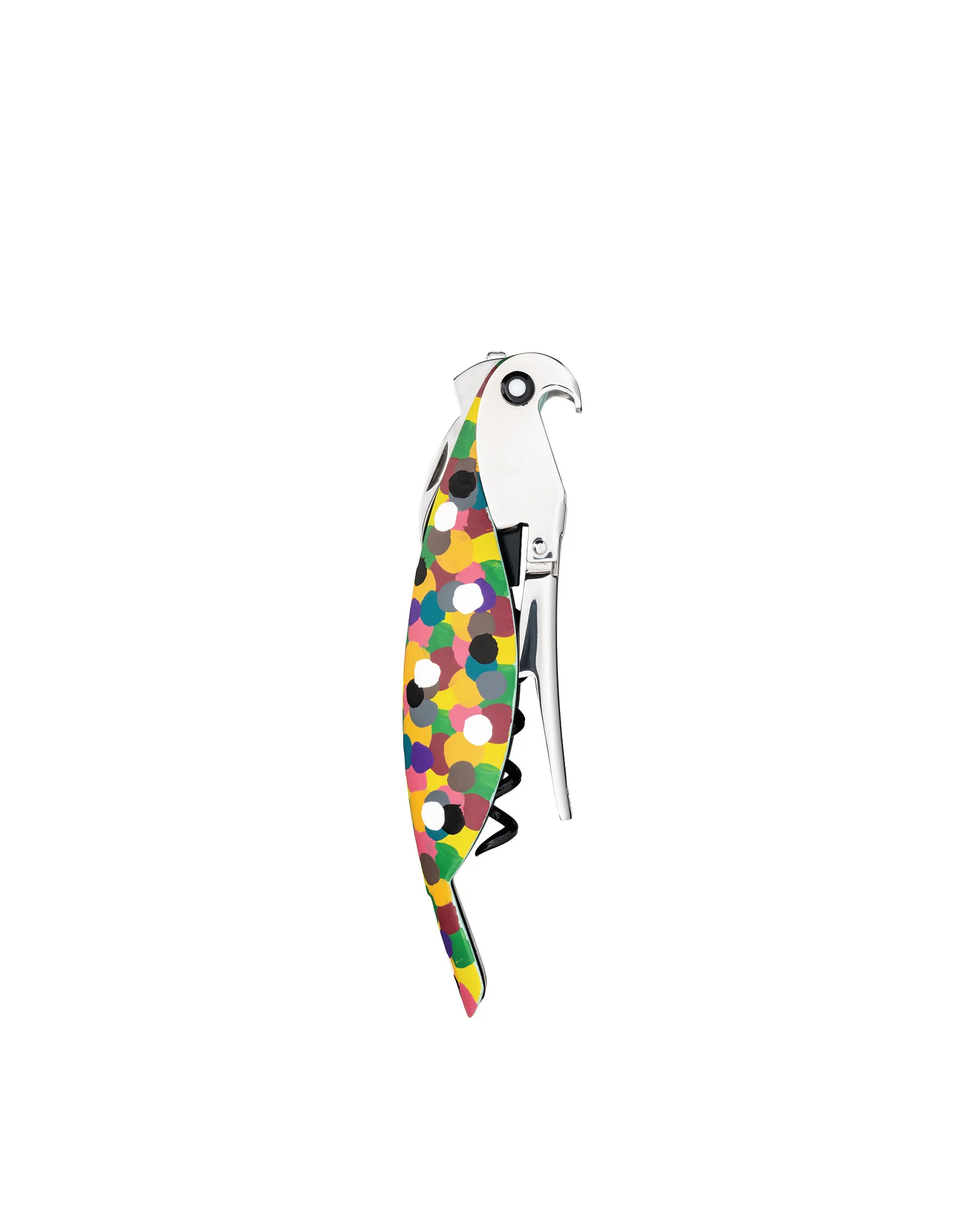 Parrot - Image 5
